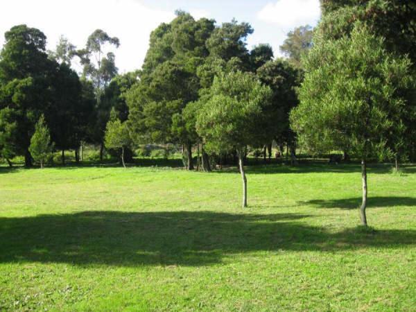 La Del Mar Miramar (Buenos Aires)
